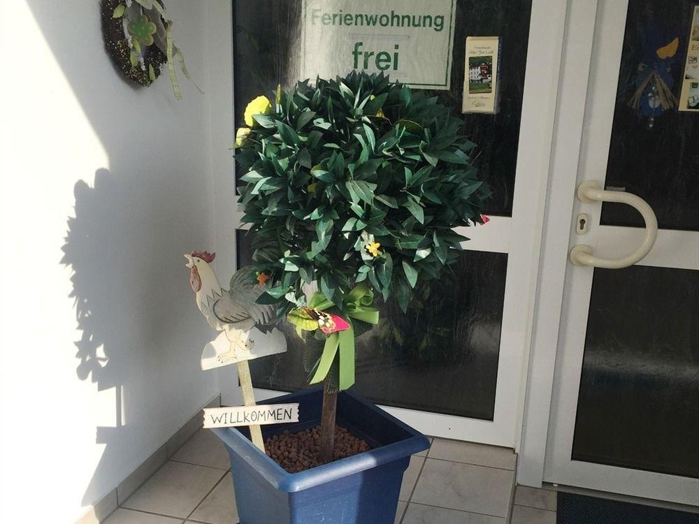 Ferienwohnungen Haus Zur Linde Cochem Ngoại thất bức ảnh